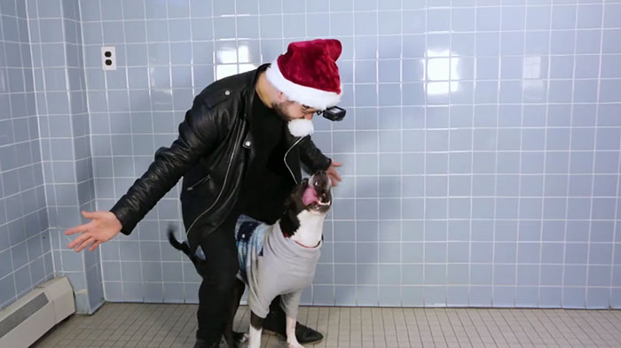 This Magician Made Treats Disappear And Shelter Dogs&#8217; Reactions Will Crack You Up