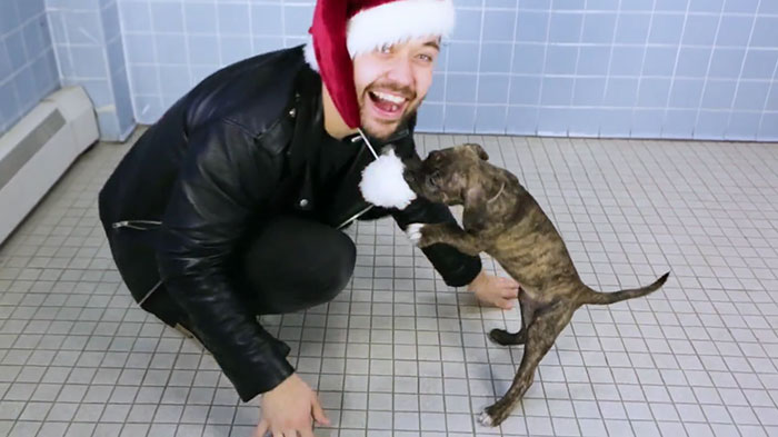 This Magician Made Treats Disappear And Shelter Dogs&#8217; Reactions Will Crack You Up