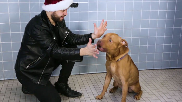 This Magician Made Treats Disappear And Shelter Dogs&#8217; Reactions Will Crack You Up