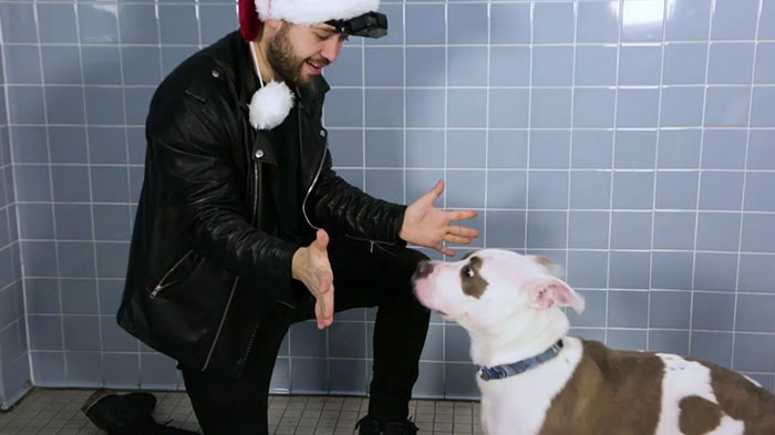 This Magician Made Treats Disappear And Shelter Dogs&#8217; Reactions Will Crack You Up