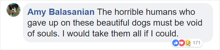 This Magician Made Treats Disappear And Shelter Dogs&#8217; Reactions Will Crack You Up