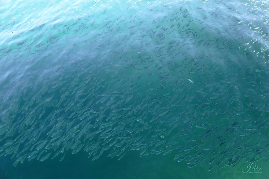 I Spent 6 Years Trying To Heal My Depression And Then Returned With A Colorful Photography I Spent 6 Years Trying To Heal My Depression And Then Returned With A Colorful Photography