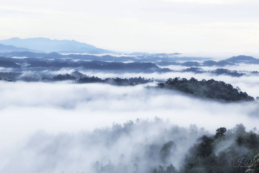 I Spent 6 Years Trying To Heal My Depression And Then Returned With A Colorful Photography I Spent 6 Years Trying To Heal My Depression And Then Returned With A Colorful Photography