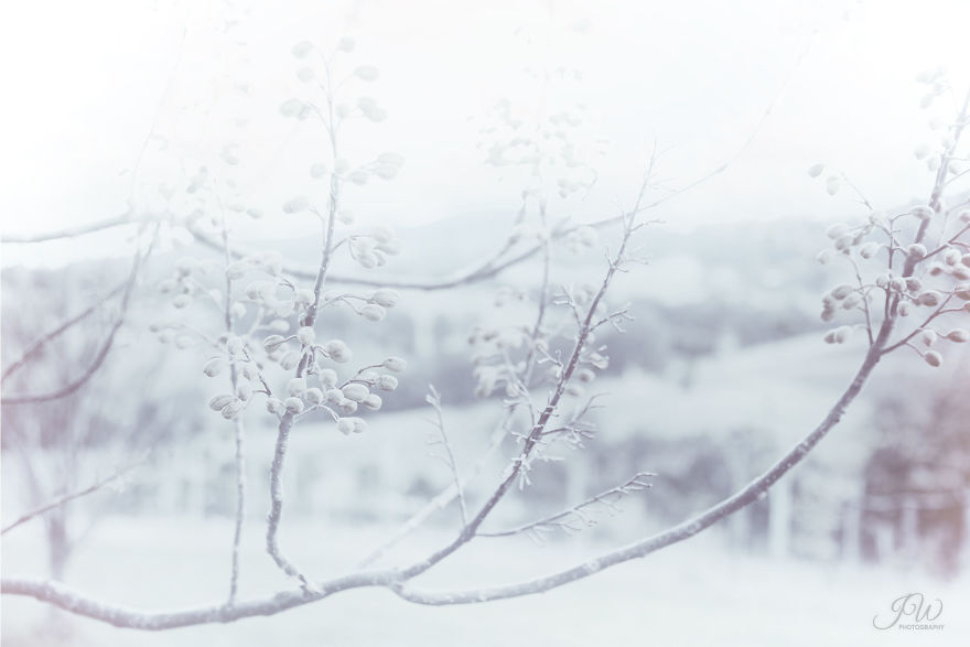 I Spent 6 Years Trying To Heal My Depression And Then Returned With A Colorful Photography I Spent 6 Years Trying To Heal My Depression And Then Returned With A Colorful Photography