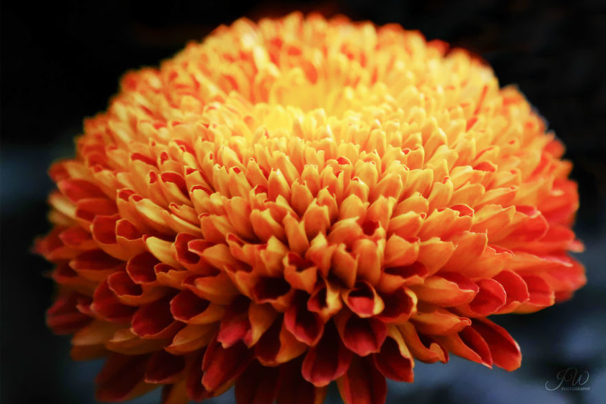 I Spent 6 Years Trying To Heal My Depression And Then Returned With A Colorful Photography I Spent 6 Years Trying To Heal My Depression And Then Returned With A Colorful Photography