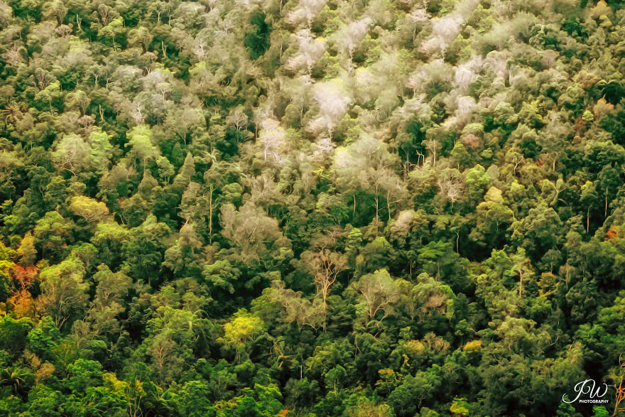 I Spent 6 Years Trying To Heal My Depression And Then Returned With A Colorful Photography I Spent 6 Years Trying To Heal My Depression And Then Returned With A Colorful Photography