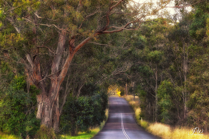 I Spent 6 Years Trying To Heal My Depression And Then Returned With A Colorful Photography I Spent 6 Years Trying To Heal My Depression And Then Returned With A Colorful Photography