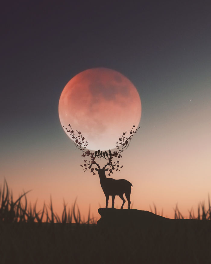 I’m A 23-Year-Old Turkish Guy Who Turns His Dreams Into Pictures