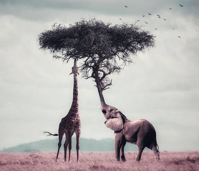 I’m A 23-Year-Old Turkish Guy Who Turns His Dreams Into Pictures