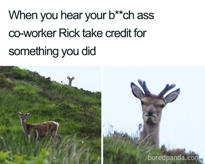 49 Of The Funniest Coworker Memes Ever 49 Of The Funniest Coworker Memes Ever