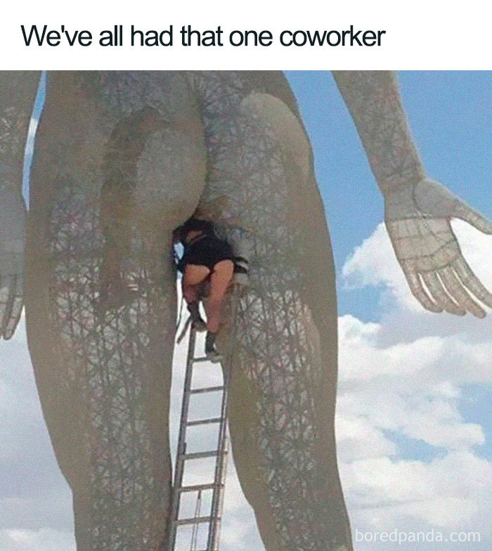 49 Of The Funniest Coworker Memes Ever 49 Of The Funniest Coworker Memes Ever
