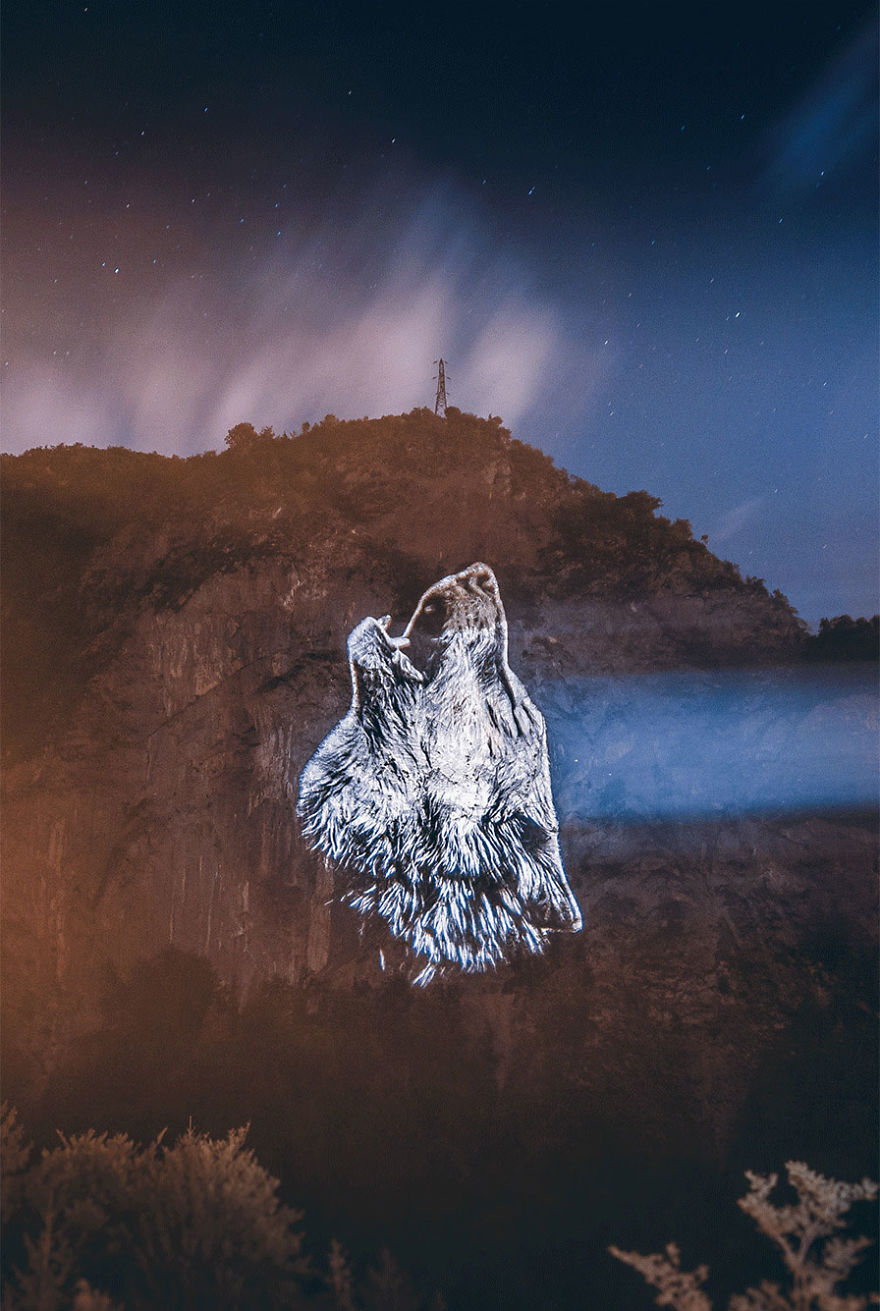 I Used A Powerful Projector To Create My ‘Crying Animals’ Series, That Showcases Endangered Species I Used A Powerful Projector To Create My ‘Crying Animals’ Series, That Showcases Endangered Species