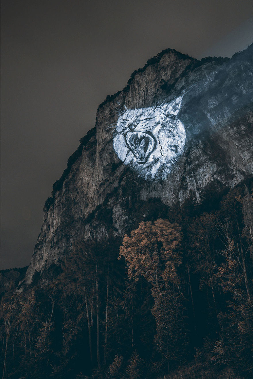 I Used A Powerful Projector To Create My ‘Crying Animals’ Series, That Showcases Endangered Species I Used A Powerful Projector To Create My ‘Crying Animals’ Series, That Showcases Endangered Species