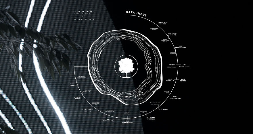 We Made A Tree Talk About How It Feels About Climate Change Using Its Own Real Time Data We Made A Tree Talk About How It Feels About Climate Change Using Its Own Real Time Data