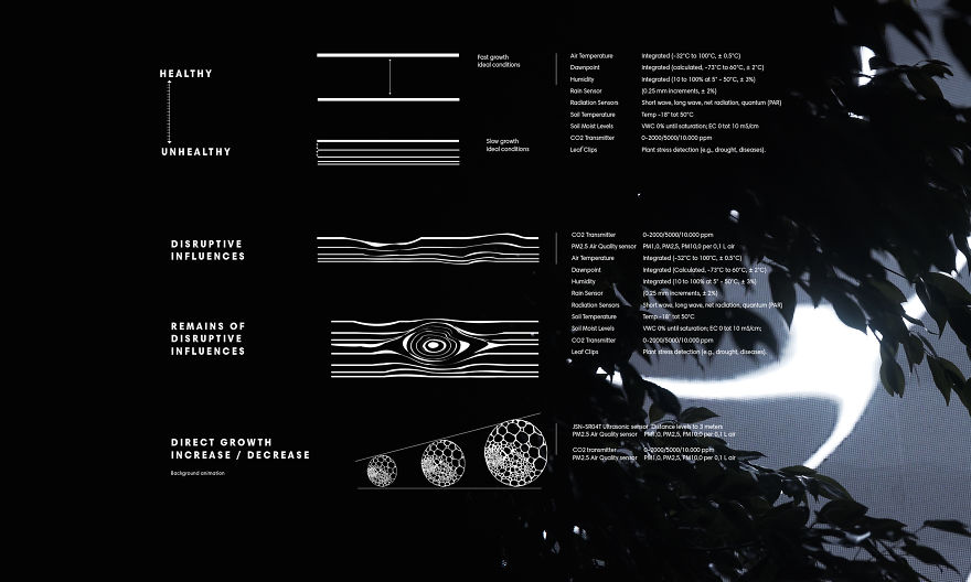 We Made A Tree Talk About How It Feels About Climate Change Using Its Own Real Time Data