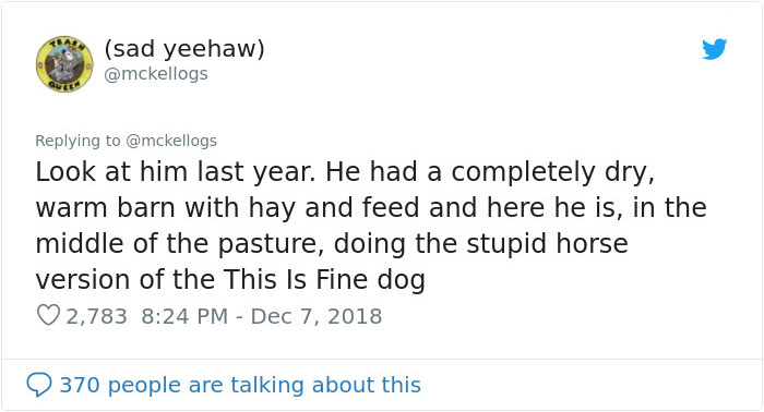 Meet Tango, The Stupidest Horse Ever Whose Stupidity Is Going Viral On Twitter Meet Tango, The Stupidest Horse Ever Whose Stupidity Is Going Viral On Twitter