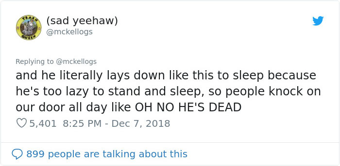 Meet Tango, The Stupidest Horse Ever Whose Stupidity Is Going Viral On Twitter Meet Tango, The Stupidest Horse Ever Whose Stupidity Is Going Viral On Twitter