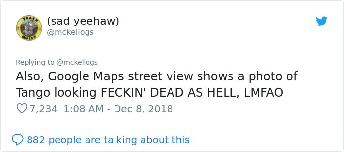 Meet Tango, The Stupidest Horse Ever Whose Stupidity Is Going Viral On Twitter Meet Tango, The Stupidest Horse Ever Whose Stupidity Is Going Viral On Twitter