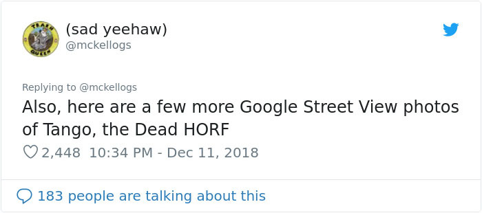 Meet Tango, The Stupidest Horse Ever Whose Stupidity Is Going Viral On Twitter Meet Tango, The Stupidest Horse Ever Whose Stupidity Is Going Viral On Twitter