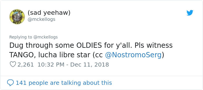 Meet Tango, The Stupidest Horse Ever Whose Stupidity Is Going Viral On Twitter Meet Tango, The Stupidest Horse Ever Whose Stupidity Is Going Viral On Twitter