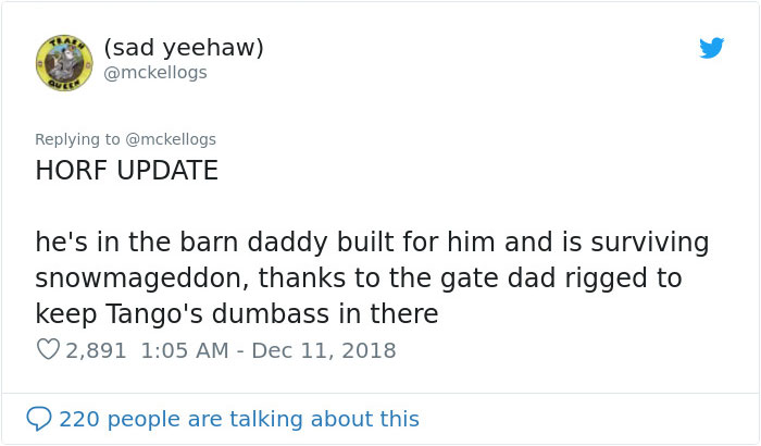 Meet Tango, The Stupidest Horse Ever Whose Stupidity Is Going Viral On Twitter Meet Tango, The Stupidest Horse Ever Whose Stupidity Is Going Viral On Twitter