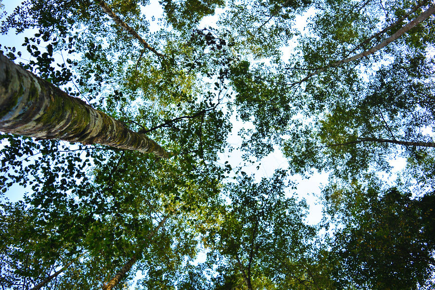 Nature Photography From Darjeeling, West Bengal, And India (24 Pics) Nature Photography From Darjeeling, West Bengal, And India (24 Pics)