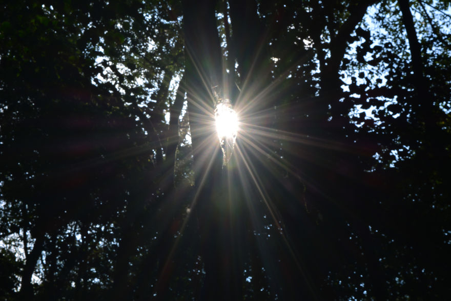 Nature Photography From Darjeeling, West Bengal, And India (24 Pics) Nature Photography From Darjeeling, West Bengal, And India (24 Pics)