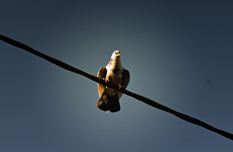 Nature Photography From Darjeeling, West Bengal, And India (24 Pics) Nature Photography From Darjeeling, West Bengal, And India (24 Pics)