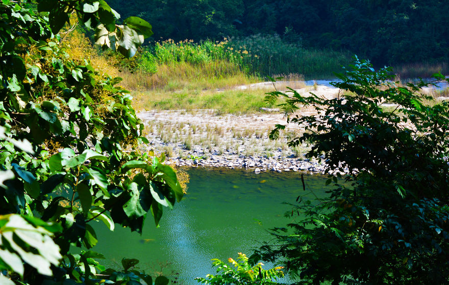 Nature Photography From Darjeeling, West Bengal, And India (24 Pics) Nature Photography From Darjeeling, West Bengal, And India (24 Pics)