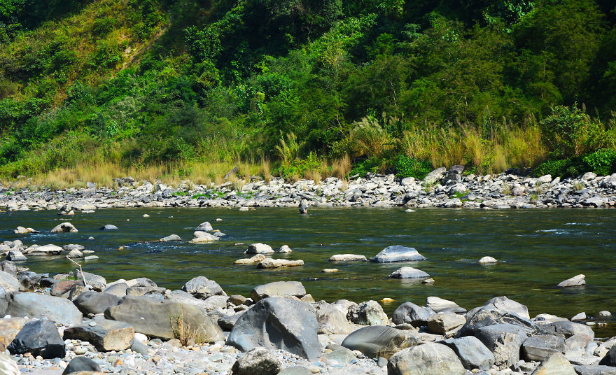 Nature Photography From Darjeeling, West Bengal, And India (24 Pics) Nature Photography From Darjeeling, West Bengal, And India (24 Pics)