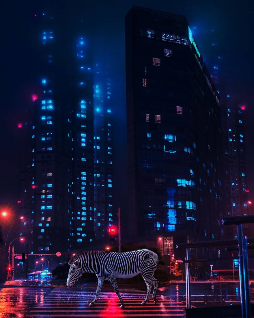 I’m A 19-Year-Old Turkish Guy Who Turns His Dreams Into Pictures (48 Pics) I’m A 19-Year-Old Turkish Guy Who Turns His Dreams Into Pictures (48 Pics)