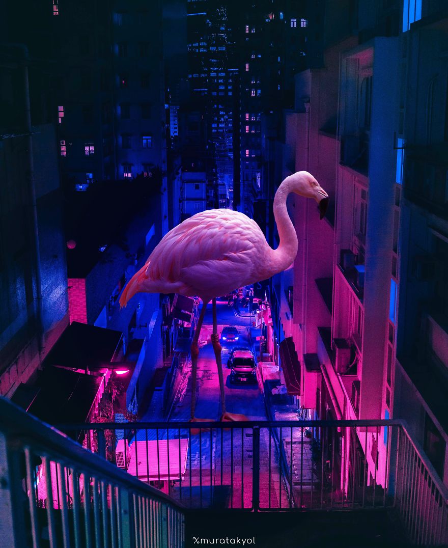 I’m A 19-Year-Old Turkish Guy Who Turns His Dreams Into Pictures (48 Pics) I’m A 19-Year-Old Turkish Guy Who Turns His Dreams Into Pictures (48 Pics)