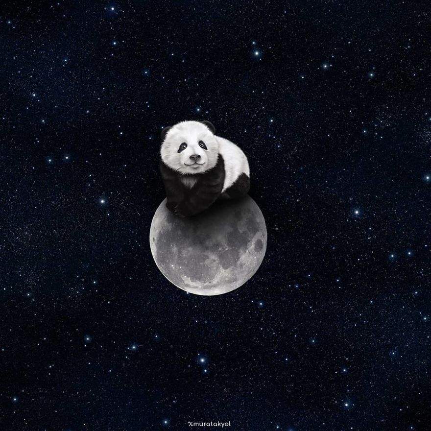 I’m A 19-Year-Old Turkish Guy Who Turns His Dreams Into Pictures (48 Pics) I’m A 19-Year-Old Turkish Guy Who Turns His Dreams Into Pictures (48 Pics)