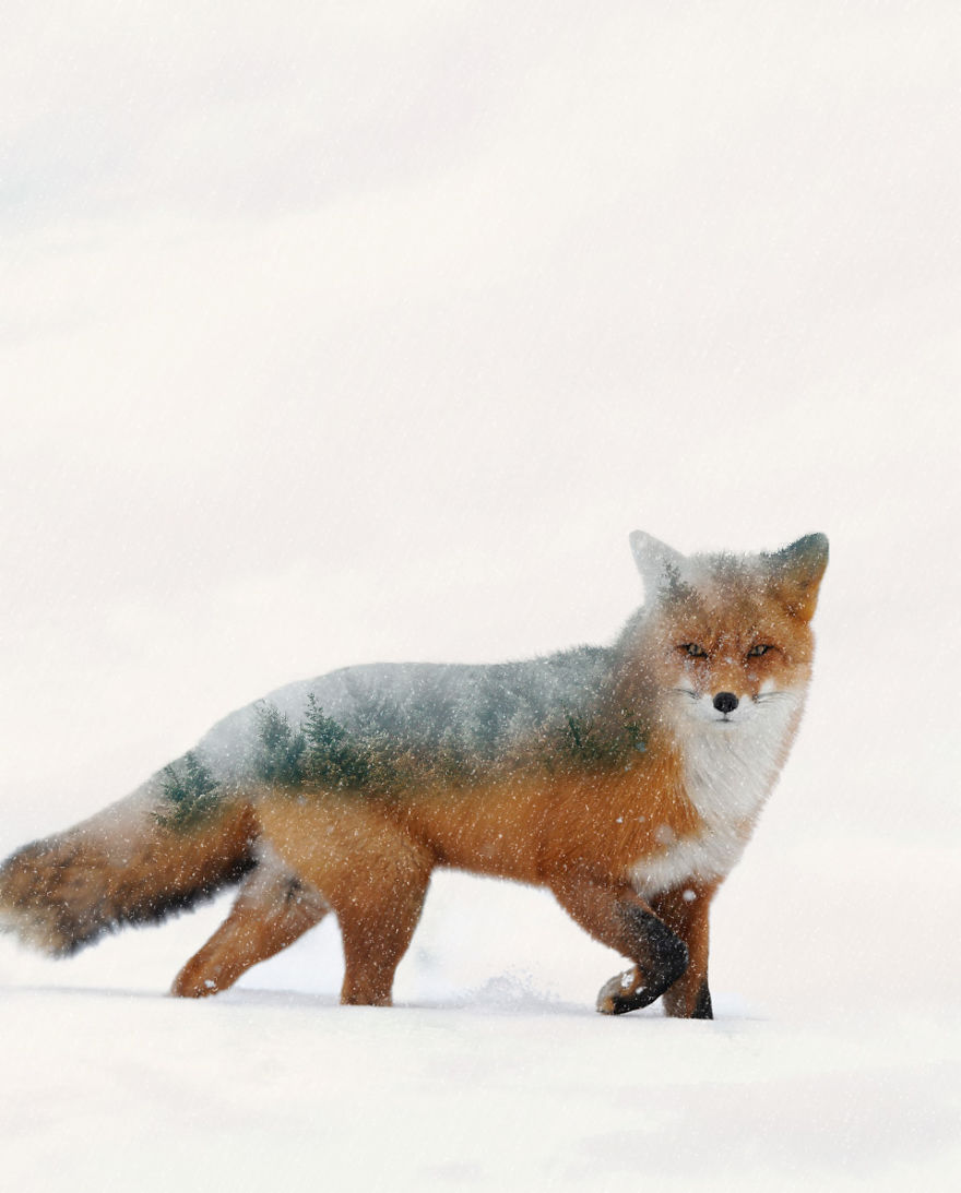 I’m A 19-Year-Old Turkish Guy Who Turns His Dreams Into Pictures (48 Pics) I’m A 19-Year-Old Turkish Guy Who Turns His Dreams Into Pictures (48 Pics)