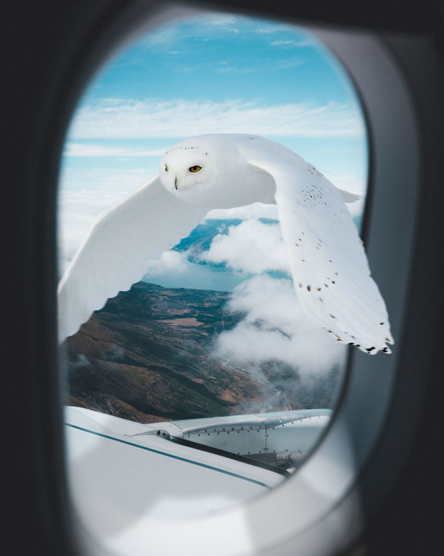 I’m A 19-Year-Old Turkish Guy Who Turns His Dreams Into Pictures (48 Pics) I’m A 19-Year-Old Turkish Guy Who Turns His Dreams Into Pictures (48 Pics)