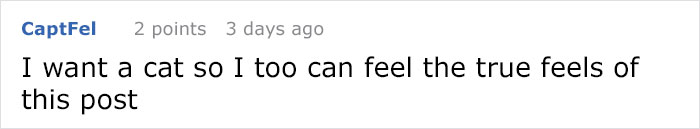 &#8220;How To Wrap A Present When You Have A Cat&#8221; (8 Pics)