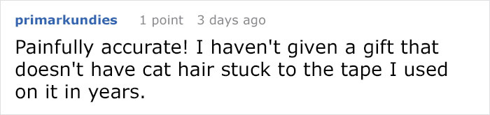 &#8220;How To Wrap A Present When You Have A Cat&#8221; (8 Pics)