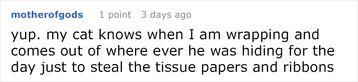 &#8220;How To Wrap A Present When You Have A Cat&#8221; (8 Pics)