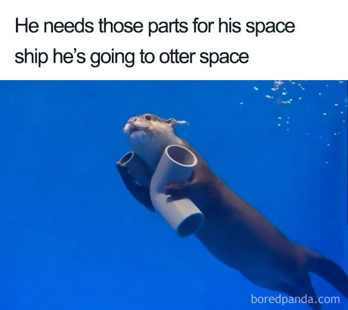 50 Hilarious Space Memes That You Don’t Have To Be An Astronomer To Laugh At 50 Hilarious Space Memes That You Don’t Have To Be An Astronomer To Laugh At