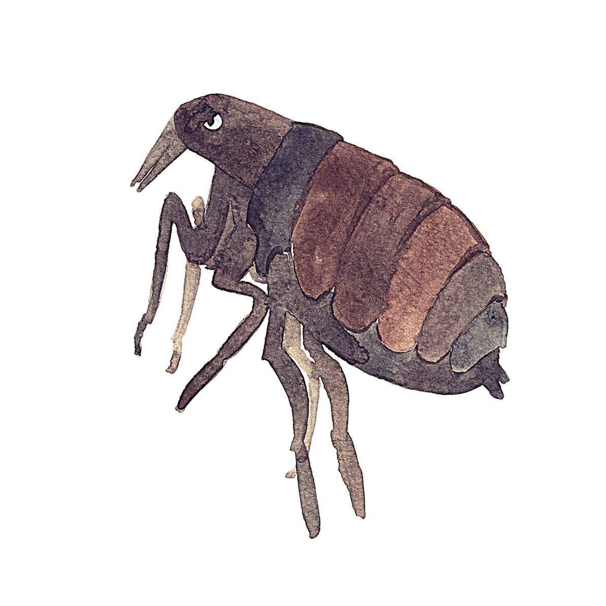 I Wrote, Illustrated And Animated A Motion Book For Kids I Wrote, Illustrated And Animated A Motion Book For Kids