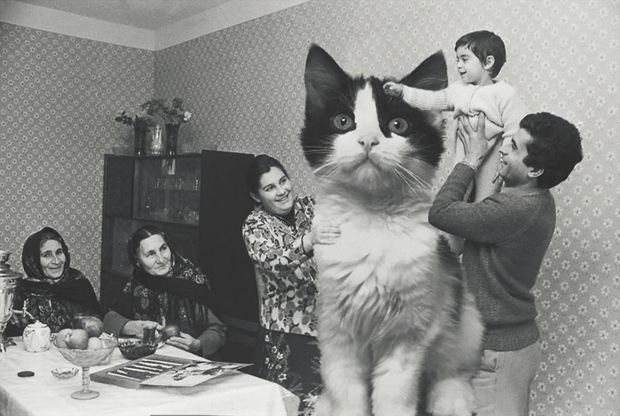 I Photoshopped Cats Into New Year’s Photos From The Former USSR I Photoshopped Cats Into New Year’s Photos From The Former USSR