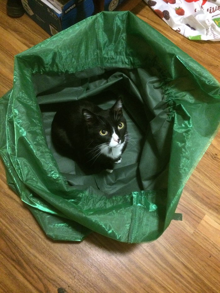 This Guy Cannot Get Enough Of His Instant Pot That He Got As A Gift From Complete Stranger