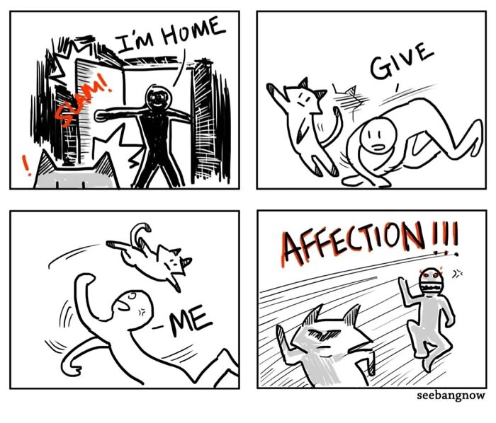 29 Comics By Xibang Starring A Cat Who Is Honest, Dramatic, And Absolutely Unbothered