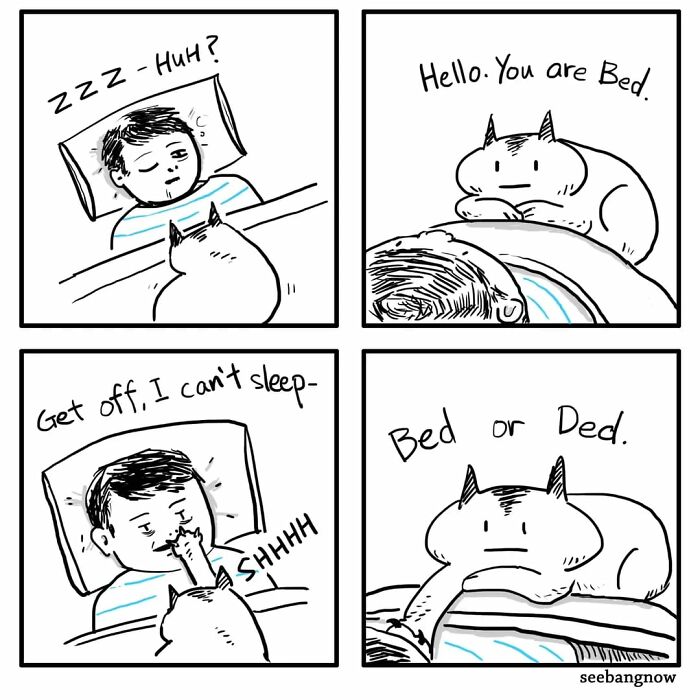 29 Comics By Xibang Starring A Cat Who Is Honest, Dramatic, And Absolutely Unbothered