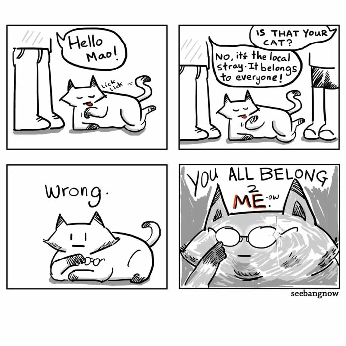 29 Comics By Xibang Starring A Cat Who Is Honest, Dramatic, And Absolutely Unbothered