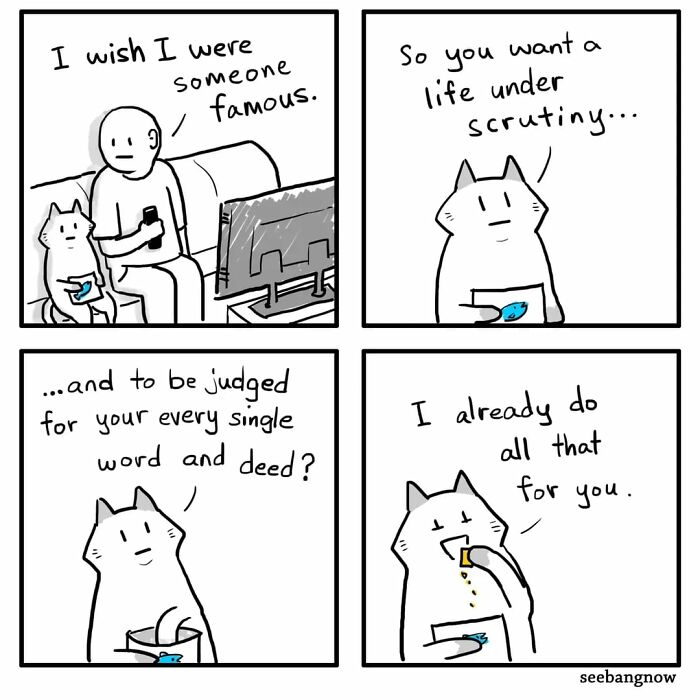 29 Comics By Xibang Starring A Cat Who Is Honest, Dramatic, And Absolutely Unbothered