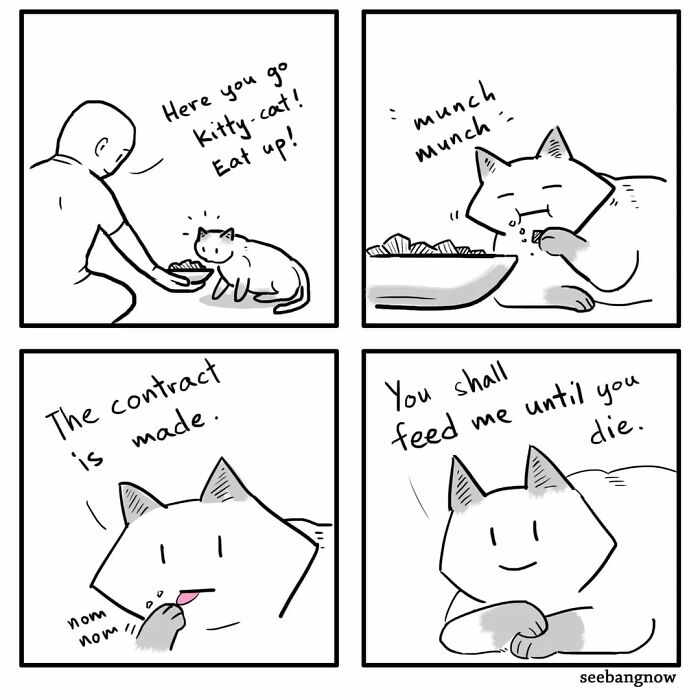 29 Comics By Xibang Starring A Cat Who Is Honest, Dramatic, And Absolutely Unbothered