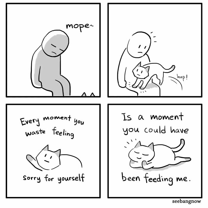 29 Comics By Xibang Starring A Cat Who Is Honest, Dramatic, And Absolutely Unbothered