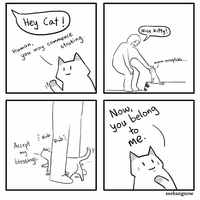 29 Comics By Xibang Starring A Cat Who Is Honest, Dramatic, And Absolutely Unbothered