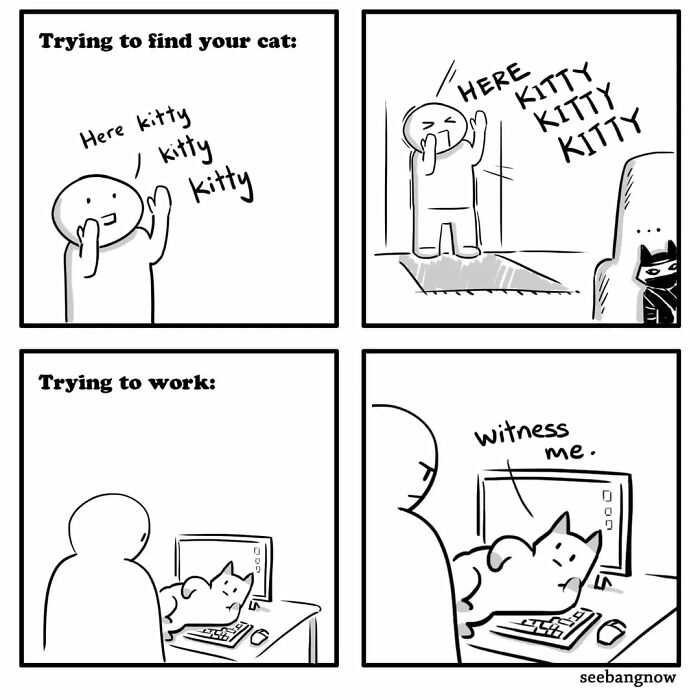 29 Comics By Xibang Starring A Cat Who Is Honest, Dramatic, And Absolutely Unbothered